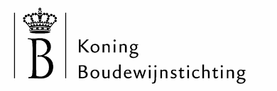 Logo Koning Boudewijnstichting